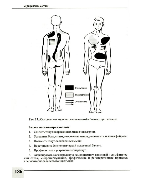 Медицинский массаж при паталогии внутренних органов, скелетно-мышечной и нервной системы. Теория и практика. Практическое пособие