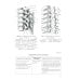 Анатомия соединений костей: Учебное пособие. 14-е изд., перераб. и доп Анатомия соединений костей: Учебное пособие. 14-е изд., перераб. и доп