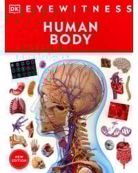 Eyewitness - Human Body