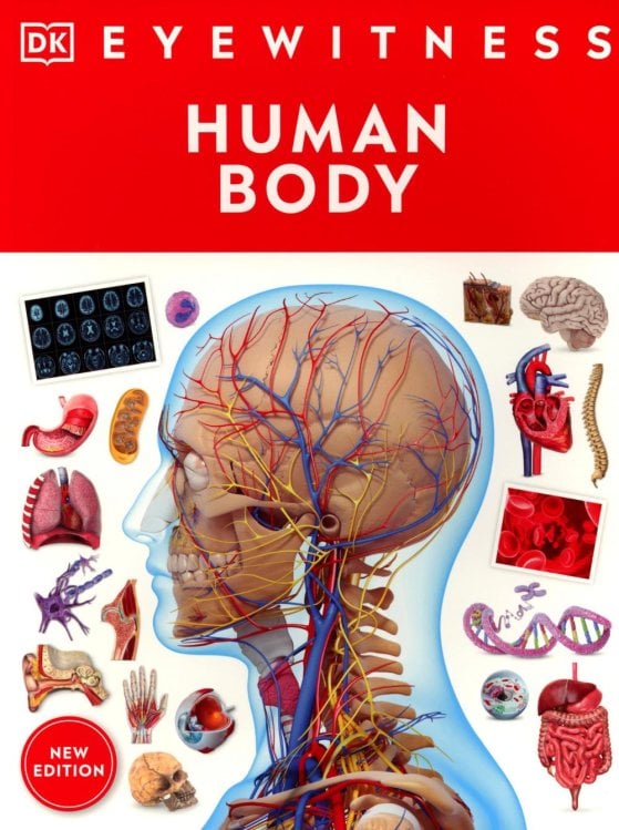 Eyewitness - Human Body Eyewitness - Human Body