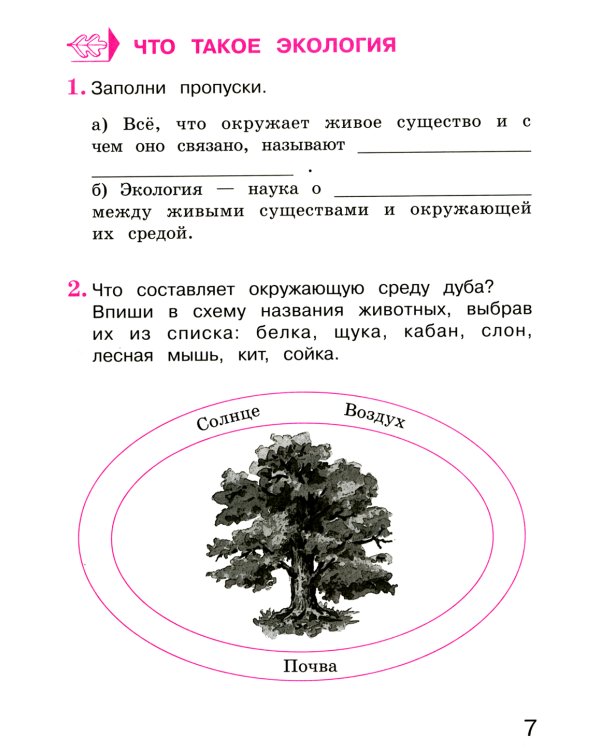 Окружающий мир 3 класс. Комплект тетрадей в 2-х частях для тренировки и самопроверки