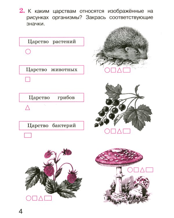 Окружающий мир 3 класс. Комплект тетрадей в 2-х частях для тренировки и самопроверки