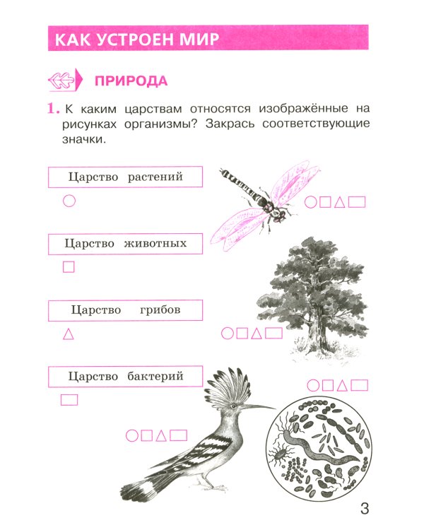 Окружающий мир 3 класс. Комплект тетрадей в 2-х частях для тренировки и самопроверки