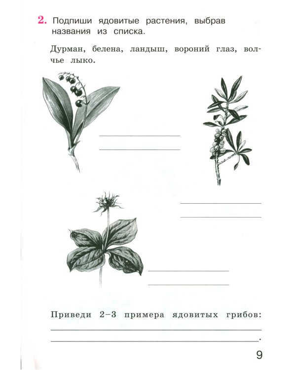 Окружающий мир 3 класс. Комплект тетрадей в 2-х частях для тренировки и самопроверки