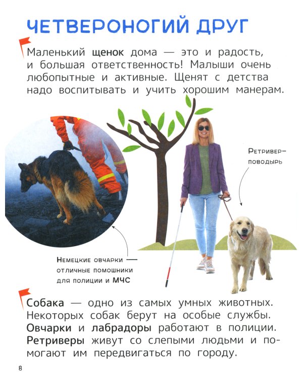 Домашние любимцы