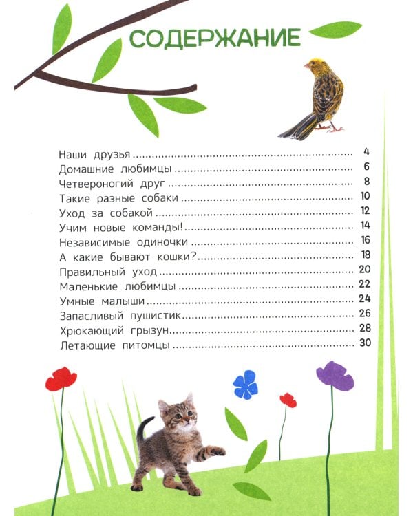 Домашние любимцы