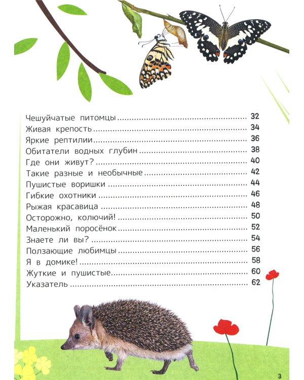 Домашние любимцы