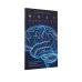 Дополнительное изображение книги «Мозг-навигатор: Как мы ориентируемся в пространстве и почему сбиваемся с пути»