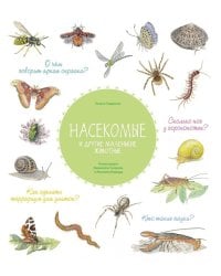 Насекомые и другие маленькие животные