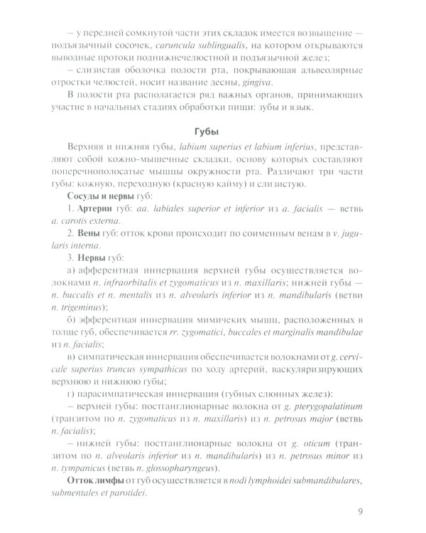 Функциональная анатомия органов пищеварительной системы (строение, кровоснабжение, иннервация, лимфоотток): Учебное пособие. 12-е изд., перераб. и доп