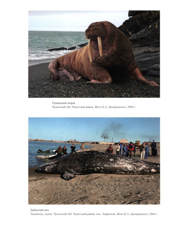 Народы Северо-Востока Сибири