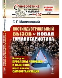 Постиндустриальный вызов и новая гуманитаристика: Взгляд на проблемы человека и общества через призму самоорганизации