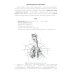 Анатомия дыхательной системы и сердца: Учебное пособие. 16-е изд., перераб. и испр