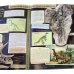 Интерактивные книги: Вокруг света за восемьдесят дней. Затерянный мир (комплект из 2-х книг)
