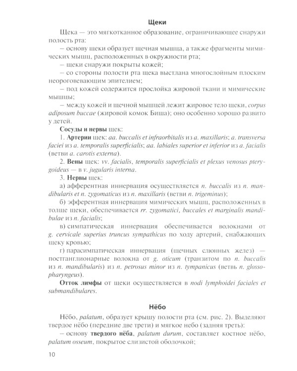 Функциональная анатомия органов пищеварительной системы (строение, кровоснабжение, иннервация, лимфоотток): Учебное пособие. 12-е изд., перераб. и доп