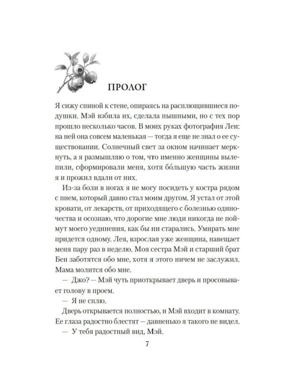 Сборщики ягод: роман