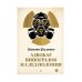 Адвокат Виноградов и след полония: роман