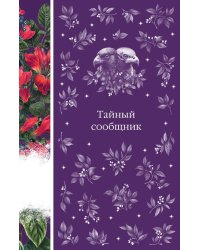 Тайный сообщник