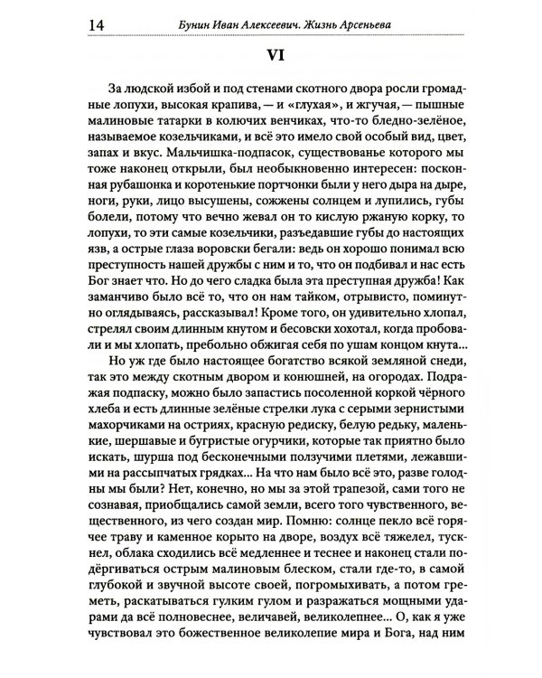 Жизнь Арсеньева