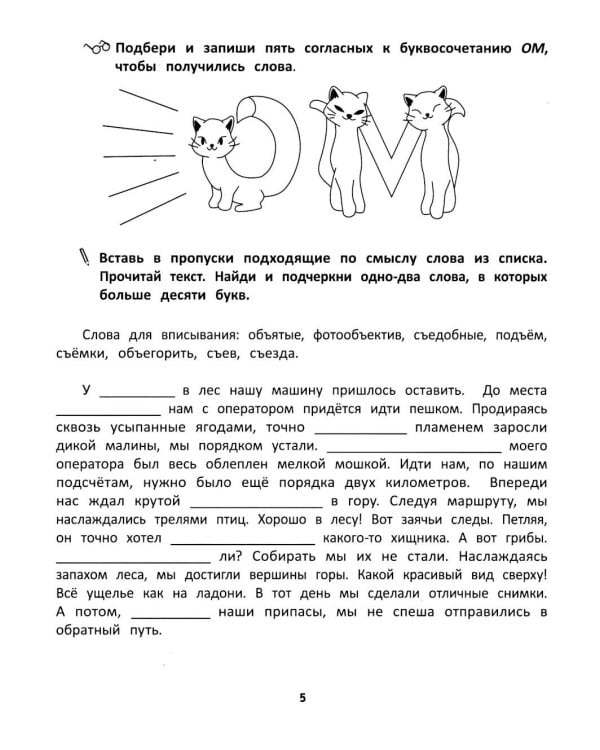 Грамотное письмо: развитие орфографического навыка: 3 кл