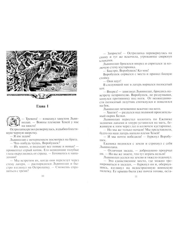 Коты-воители. Темная река