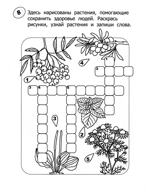 Кроссворды-раскраски для детей 9-10 лет