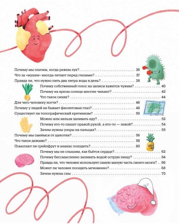 Тело человека. 35 ответов на детские вопросы о том, как работает организм