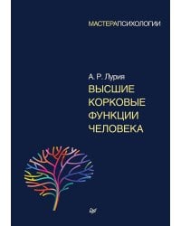 Высшие корковые функции человека 