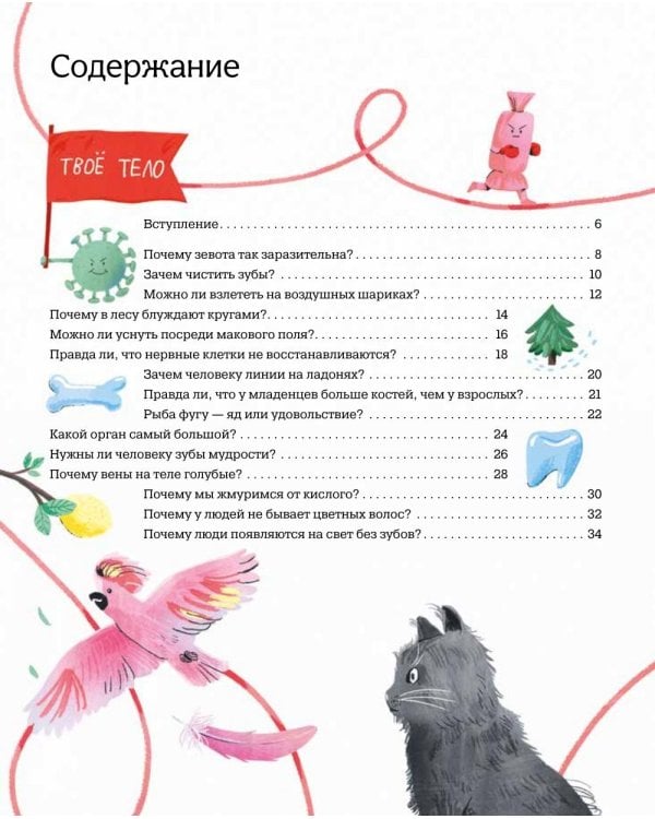 Тело человека. 35 ответов на детские вопросы о том, как работает организм