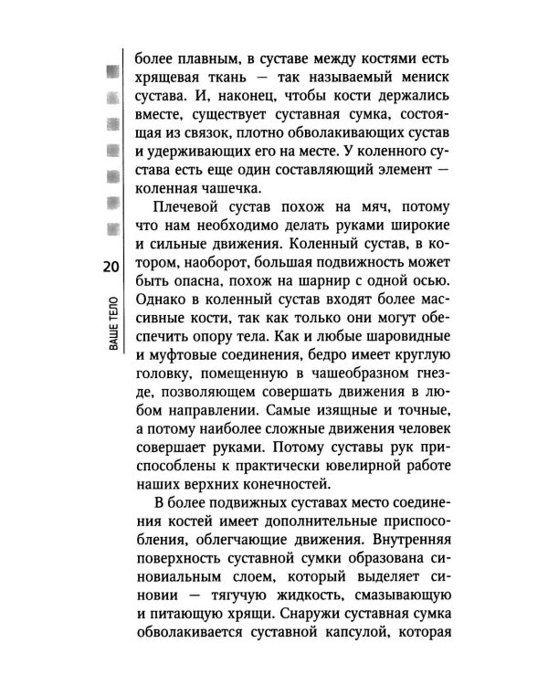 Позвоночник и суставы: восстановление подвижности и избавление от боли