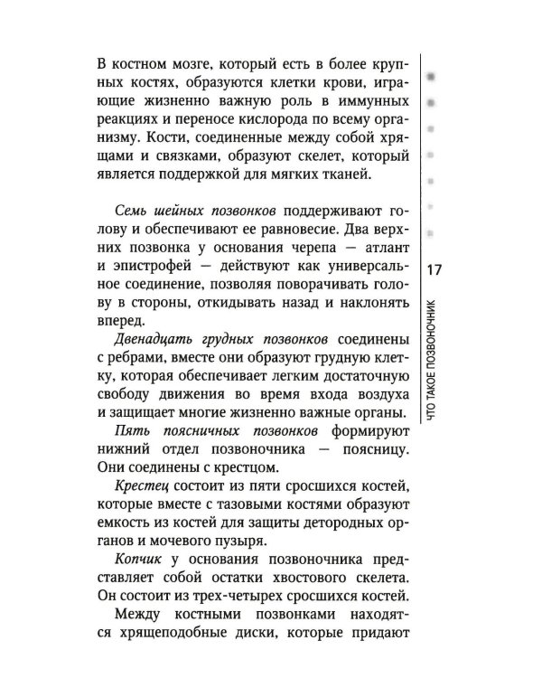 Позвоночник и суставы: восстановление подвижности и избавление от боли