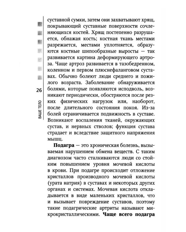 Позвоночник и суставы: восстановление подвижности и избавление от боли