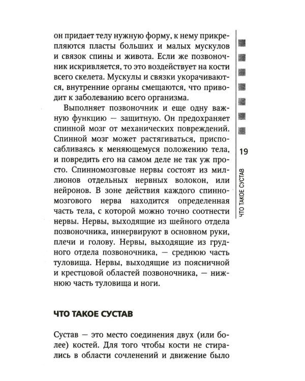Позвоночник и суставы: восстановление подвижности и избавление от боли