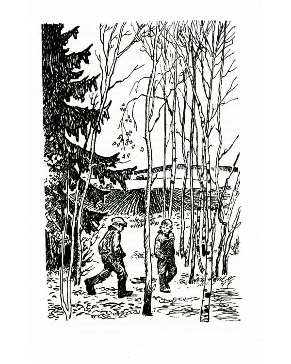 Камешки на ладони: рассказы