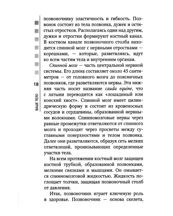 Позвоночник и суставы: восстановление подвижности и избавление от боли