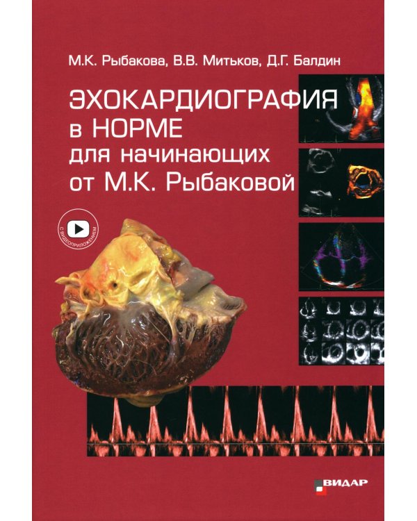 Эхокардиография в норме для начинающих от М.К. Рыбаковой