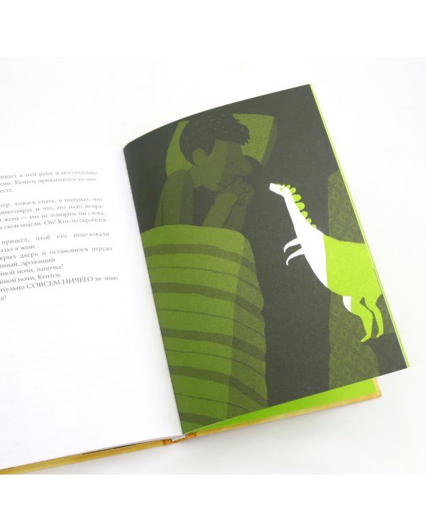 Голландский без проблем: (сборник рассказов для младшего и среднего школьного возраста)