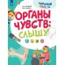 Научный подход Органы чувств: слышу