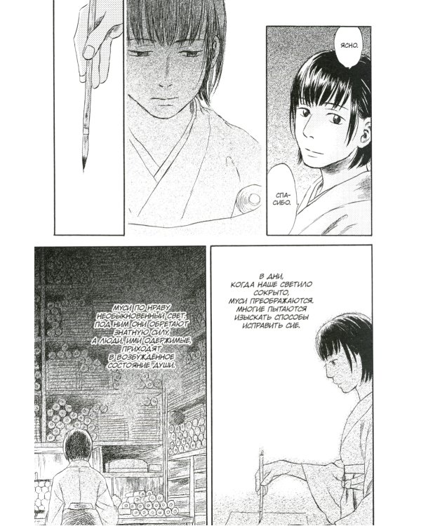 Знаток муси. Тень, пожирающая солнце