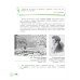 Рисунок. Третий год обучения. Учебное пособие для организаций дополнительного образования. 2- изд., стер