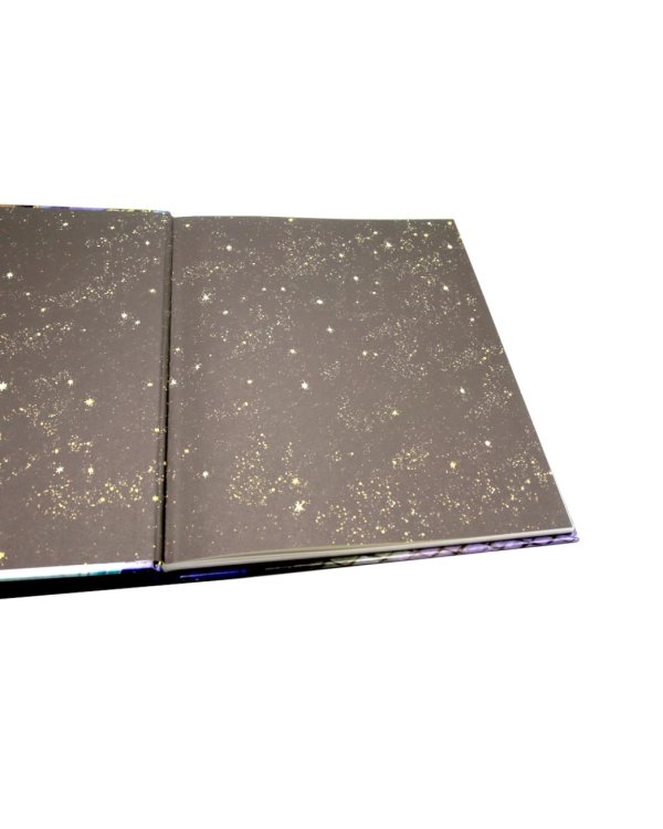 Сказки для детей: Щелкунчик и мышиный король. Стойкий оловянный солдатик (комплект из 2-х книг)