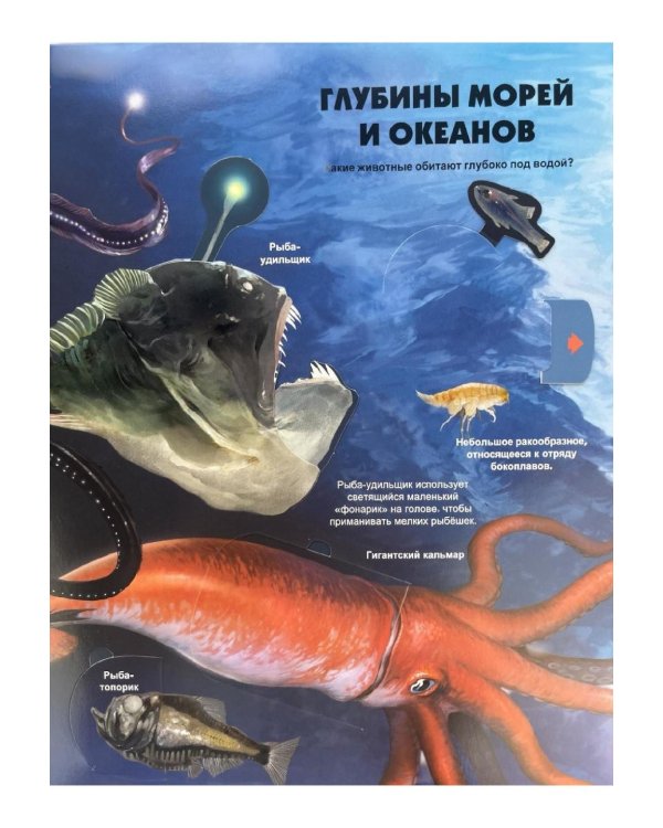 Тайны подводного мира