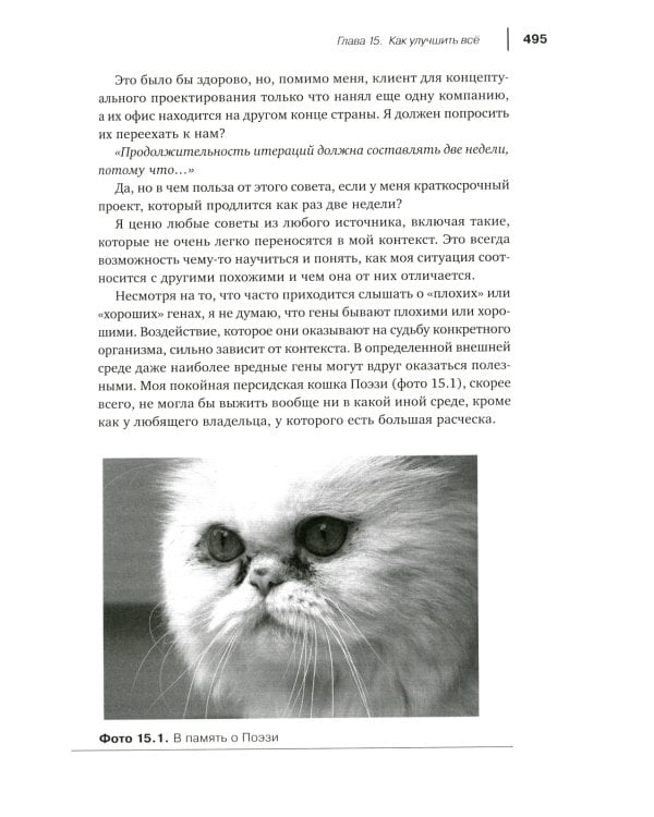 Agile-менеджмент: Лидерство и управление командами