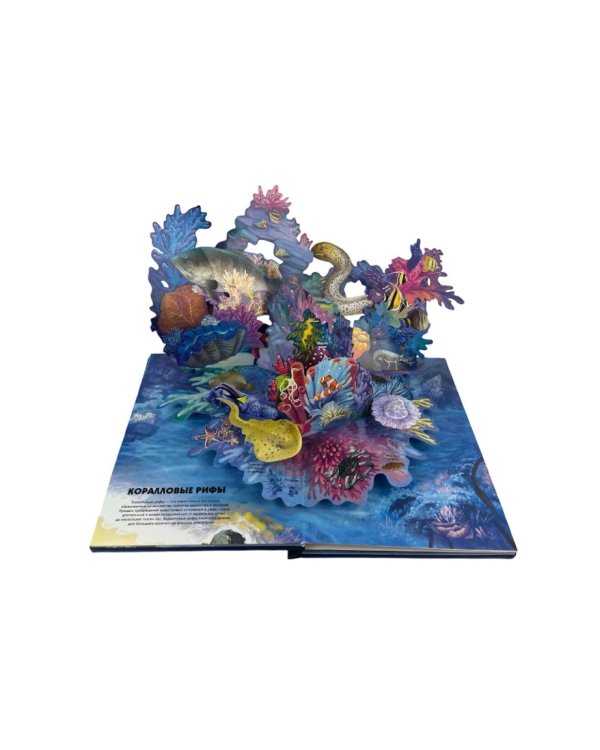 Тайны подводного мира