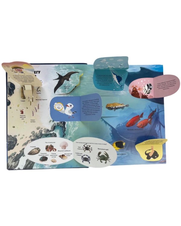 Тайны подводного мира