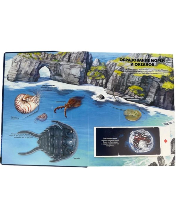 Тайны подводного мира