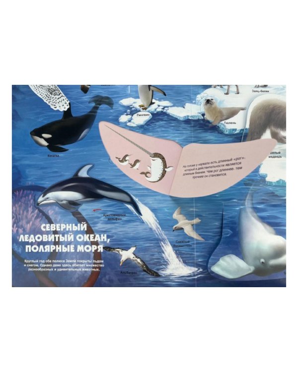 Тайны подводного мира