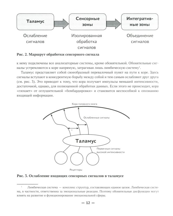 Сенсорная интеграция без сенсорных комнат: доступный комплекс игр и упражнений. 3-е изд