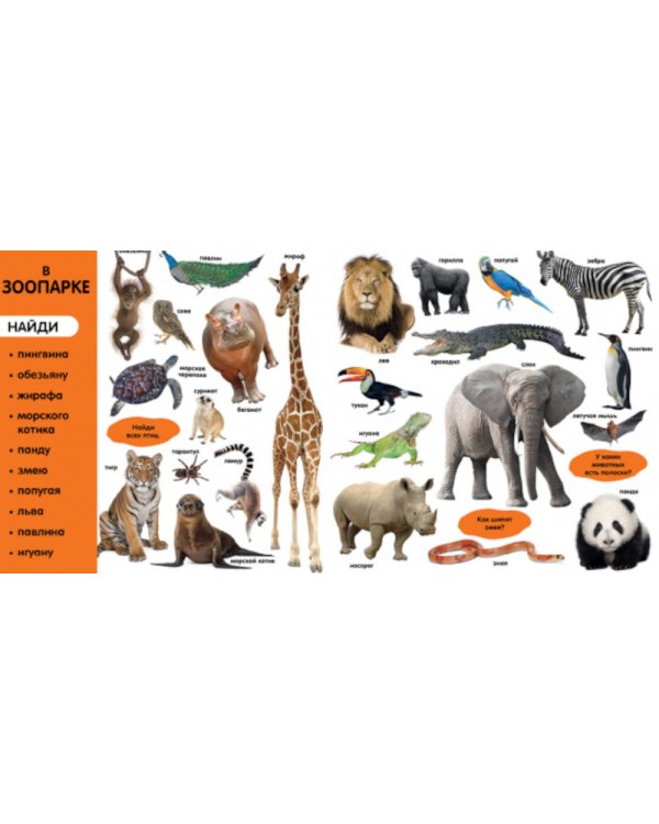 Фотокнига. Первые слова