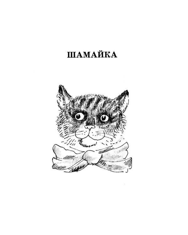 Шамайка: повесть